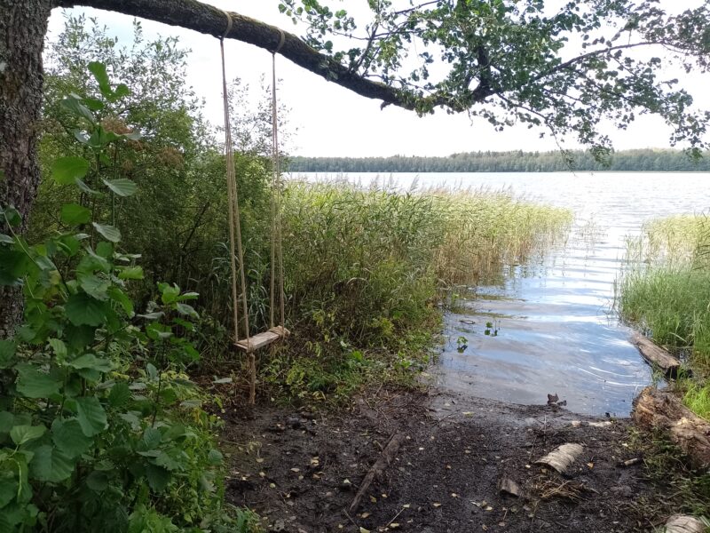 Автодорога (лыжероллеры) Н Горбово — Лызлово, состояние на 28 августа 2025 по отзыву, фото 2. Подходов к озеру совсем мало